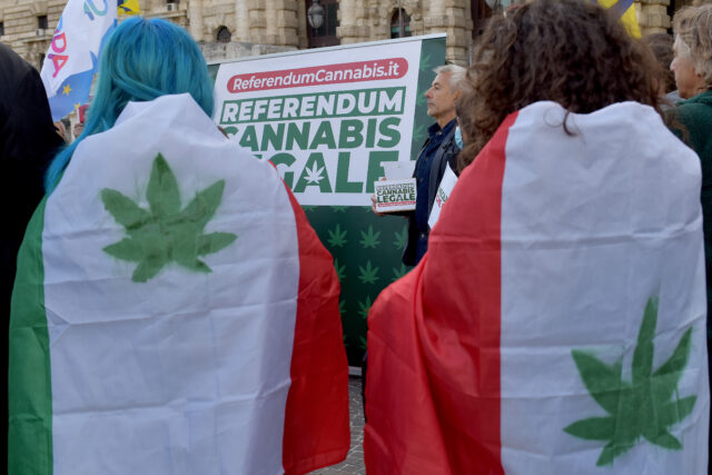 referendum-legalisasi-budidaya-mariyuana-di-italia-dijegal-mahkamah-konstitusi